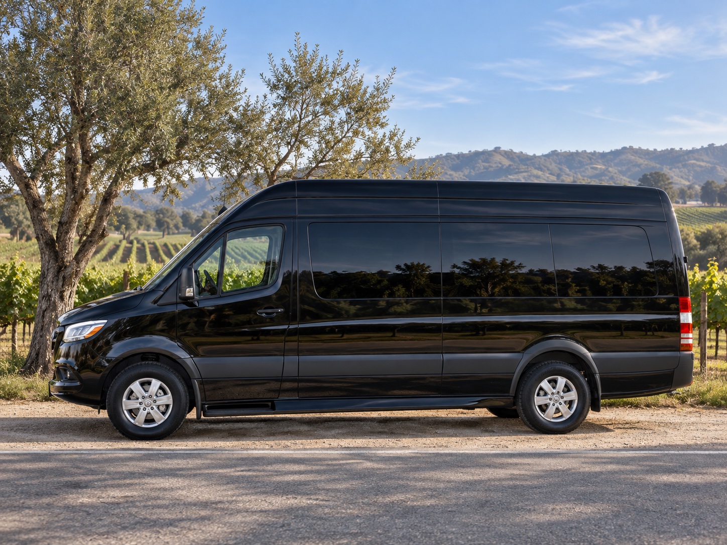 Mercedes-Benz Sprinter for wedding group transportation